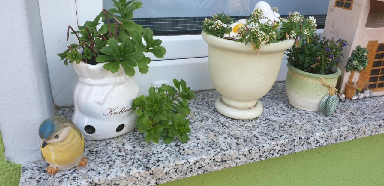 Gartenlaube *