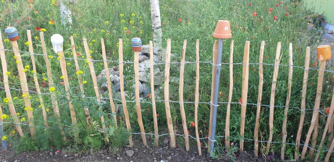 Gartenlaube Apartment Thale